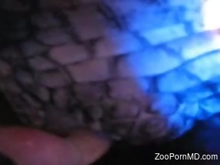 Insane zoo fucking closeup home porn on cam