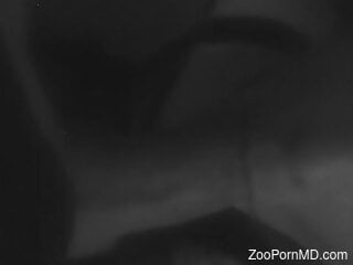 Man enjoys late-night hard sex with a tight animal