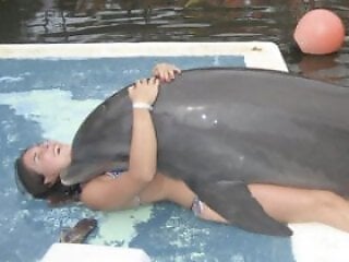 Free zoo porn tube