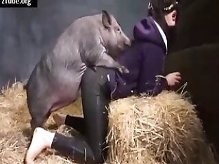Zoo porno and bestiality